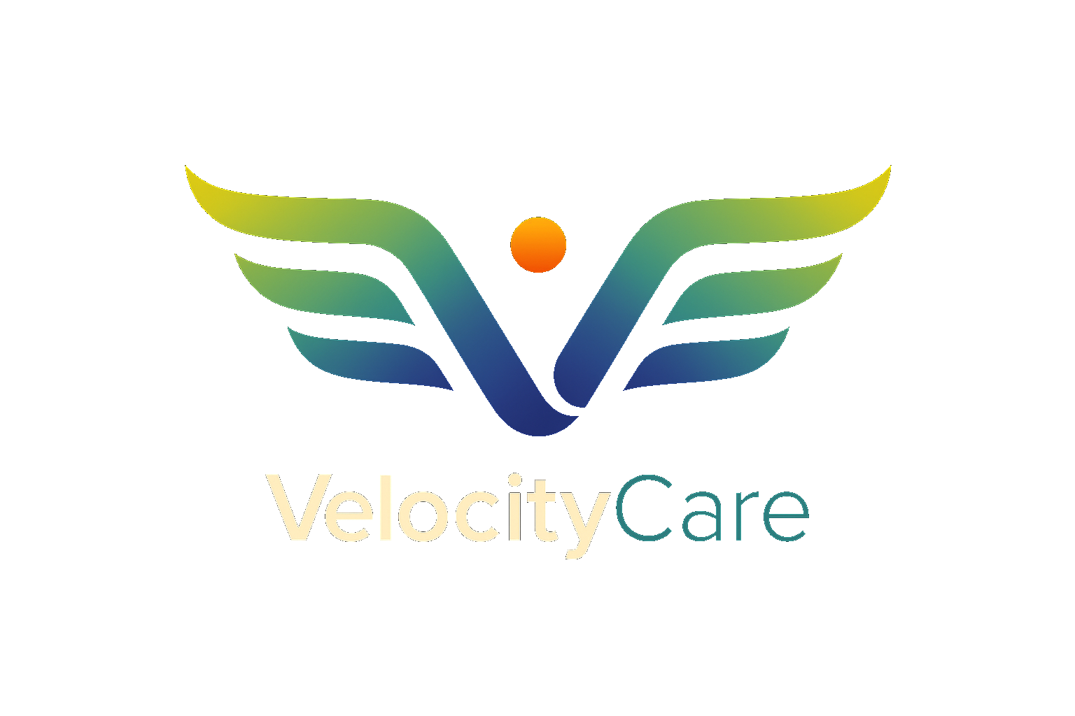 VelocityCare Logo